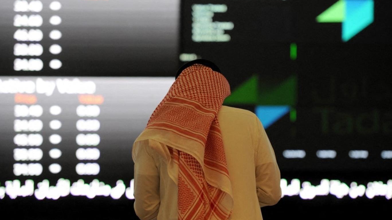 التركيز على الأسهم المحلية يحرم المستثمرين من فرص في قطاعات التكنولوجيا والخدمات الرقمية