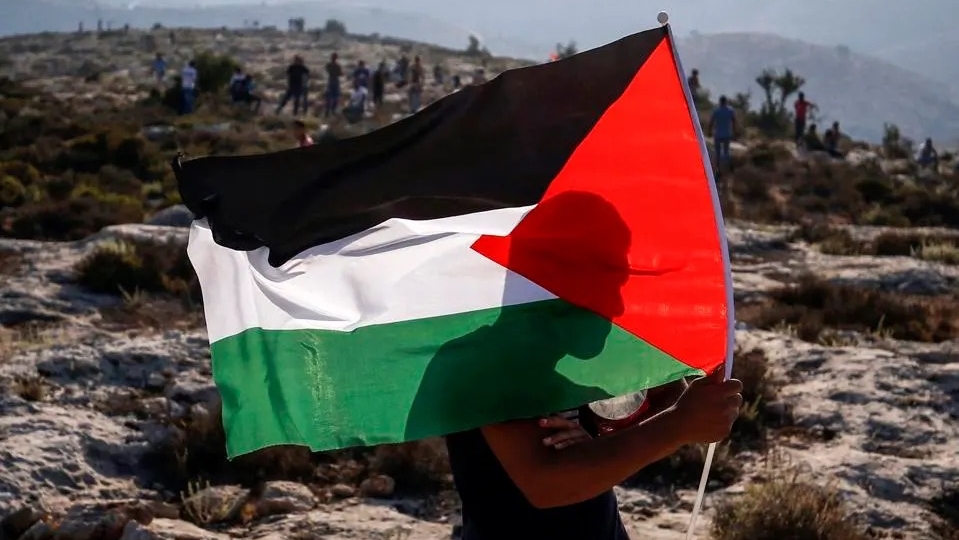 متظاهر يرفع العلم الفلسطيني
