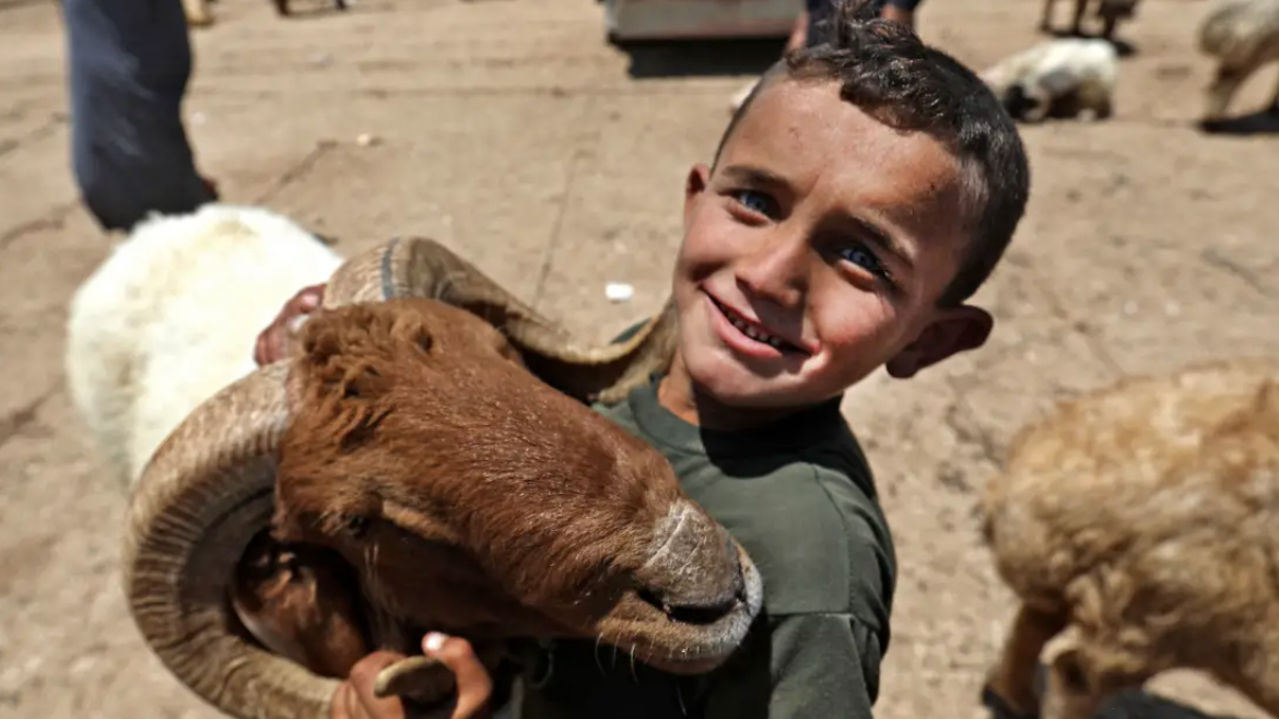 لاقى الإعلان الحكومي ترحيبًا واسعًا في الشارع الفلسطيني