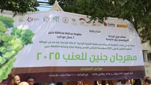 العنب ليس مجرد محصول زراعي بل علامة تجارية لجنين