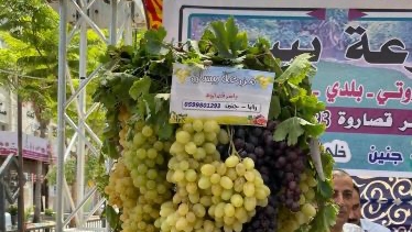 من فعاليات مهرجان العنب في جنين