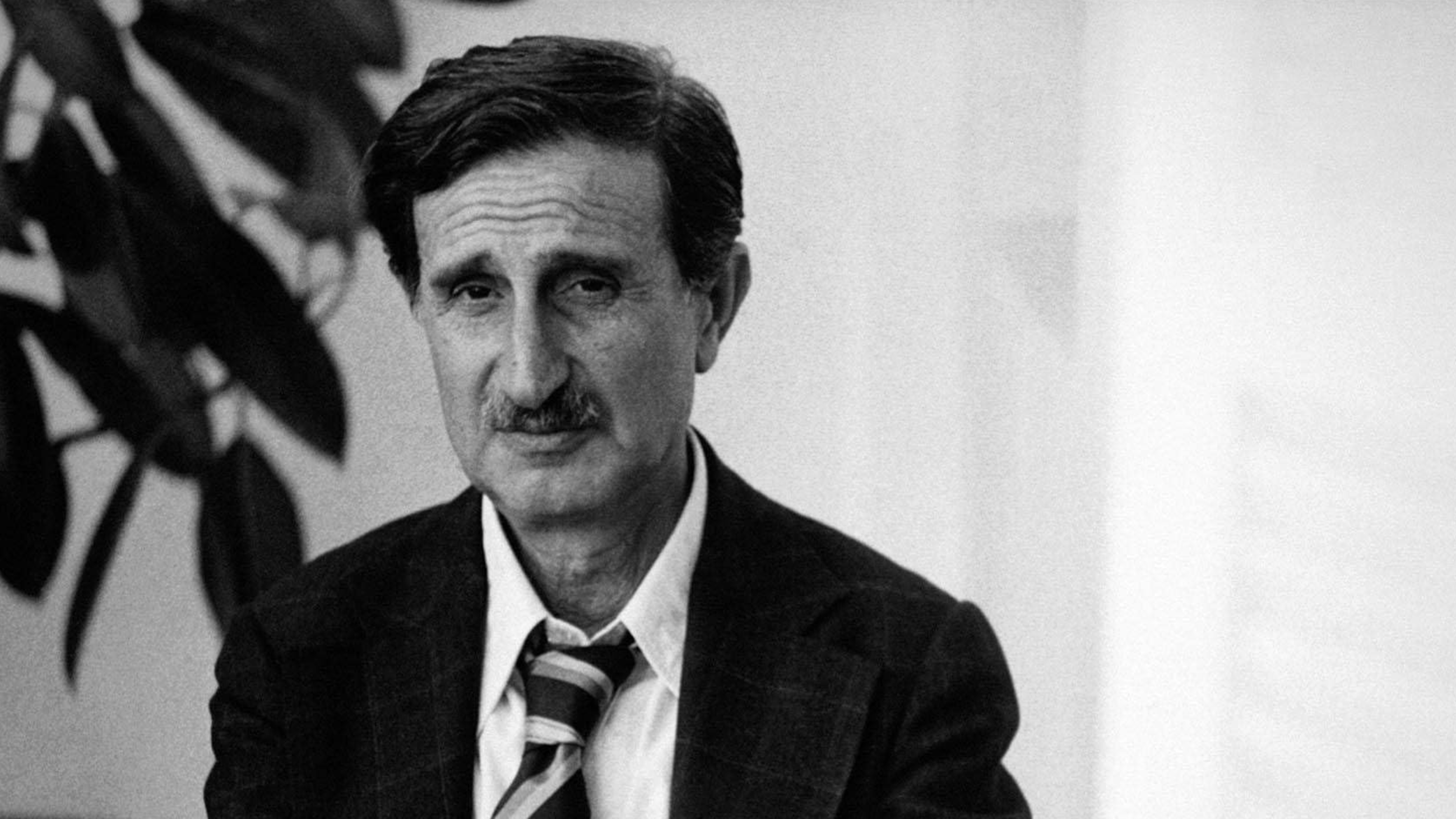 كمال جنبلاط