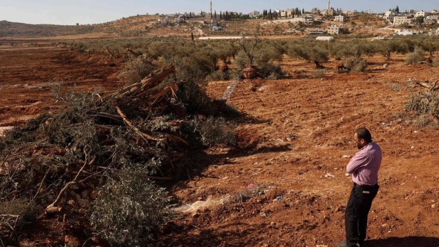 يقول السكان إنَّ الجيش الإسرائيلي يقتلع الأشجار ويدمّر الأراضي قرب طولكرم