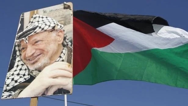 غصن الزيتون والبندقية