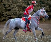 ناصر بن حمد ال خليفة بطلا لسباق المجر الدولي لمسافة 120 كلم