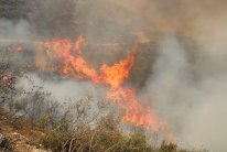 بالصور: حرائق الغابات تلتهم سوريا واليونان وإسبانيا