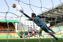 بطولة انكلترا: ساوثمبتون يعمق جراح نوريتش المتذيل