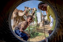 الفاينانشال تايمز: حان الوقت لأن تستثمر أفريقيا في نفسها