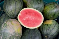 ماذا نعرف عن فيروس روتا، وهل للفواكه علاقة به؟