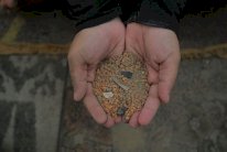 في غزة كيف يؤثر نقص الغذاء على مستقبل الأطفال؟