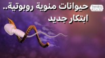 هولندا تطوّر حيوانات منوية روبوتية لعلاج العقم