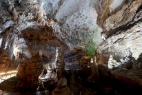 حفل زفاف داخل 