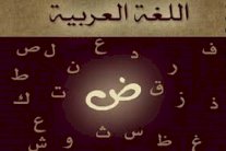 اللغة العربية تشهد تراجعًا وتعاني تحديات كبيرة 