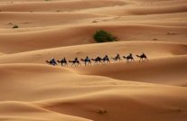 صدورترجمة عربية لكتاب: 