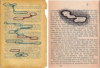 كيف تعثر على قصيدة جاهزة في كتاب نثري عادي