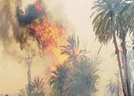 منير العبيدي: انقل حي باب السوق الى برلين....