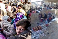 شاعر عراقي يصرخ بموت المشردين والنازحين!