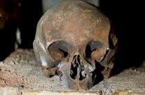 لماذا تعترض الكنيسة على التحقق من هوية جمجمة شكسبير