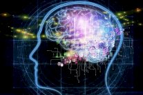 المريض هـ. م.: قصة من أسرار الذاكرة والجنون والأسرة