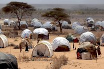 مدينة الشوك: حلم اللجوء في داداب وكابوس الواقع