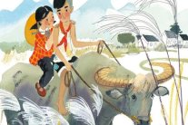 عباد الشمس وبروز: تلاقح التقاليد في الريف الصيني