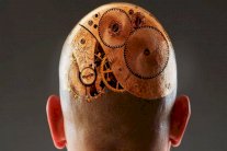 بين البكتيريا وباخ... هكذا تطور العقل البشري