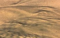 شوقي مسلماني: (الرمل يرثُ الرمل) 