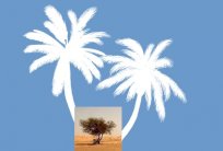 نخيل السماوة – ثنائية الموت والحياة