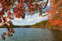 هنري ثورو الذي أحب الطبيعة... فاتهم بالكفر