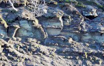 المجلس الدستوري الفرنسي يتمسك بحظر الغاز الصخري