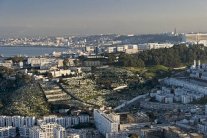 إرتفاع الاستثمارات في الجزائر للعام الحالي بنسبة 108%