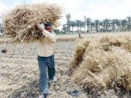 مصر تطرح مناقصة لإنشاء مرفأ لاستقبال الغاز