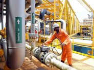 صادرات المحروقات في الجزائر تنخفض بنسبة 10 بالمئة