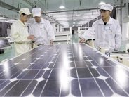 الاتحاد الأوروبي يفرض رسوم إغراق على واردات الزجاج الشمسي من الصين