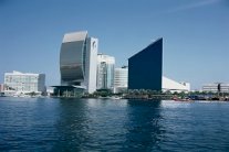 الإمارات وهولندا توقعان إتفاقية لحماية وتشجيع الاستثمار