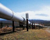 1.2 مليار دولار خسائر العراق شهرياً بسبب توقف أنبوب جيهان النفطي