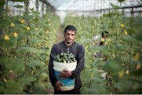 وزارة الزراعة في غزة تهدد إسرائيل بالمعاملة بالمثل