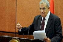 مصر تمتنع عن استيراد سلع لها بديل محلي