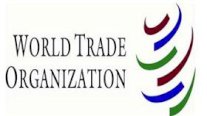 منظمة التجارة العالمية تحتفل بالذكرى العشرين لتاسيسها
