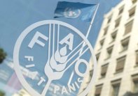 الفاو: أسعار الغذاء العالمية عند أدنى مستوى منذ 2009 