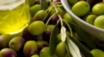 تونس تحقق 750 مليون دولار من إنتاج زيت الزيتون