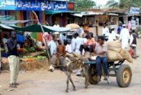الحكومة السودانية ترفع الدعم عن القمح 