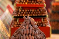 15 دولة تشارك في المعرض الدولي للتمر في المغرب