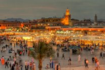 الحكومة المغربية تخصخص 10537 هكتارا من أراضي الدولة