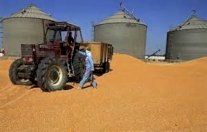 روسيا تتهم مصر بالسعي الى المساومة عبر رفض قمحها