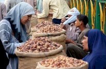مصر الأولى عالميًا في انتاج التمور