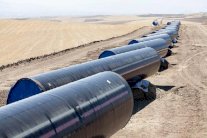 بوتين يمنح الضوء الأخضر لـ