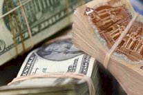 مصر: الدولار يعاود الصعود والتضخم31.7%