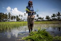 حلم الغاز المؤجّل لقرية حلمت بأن تصبح