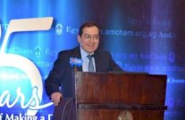 مصر ستحقق الاكتفاء الذاتي من الغاز في 2018